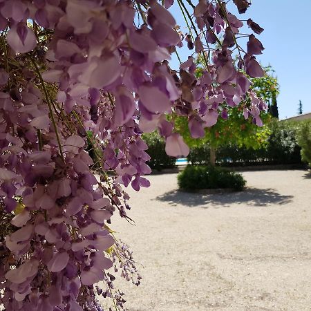 Bed and Breakfast La Pastorale Lagnes Exterior foto